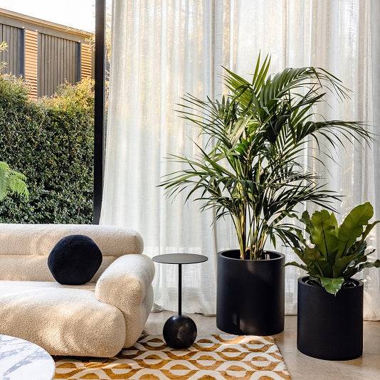 Black flower planters