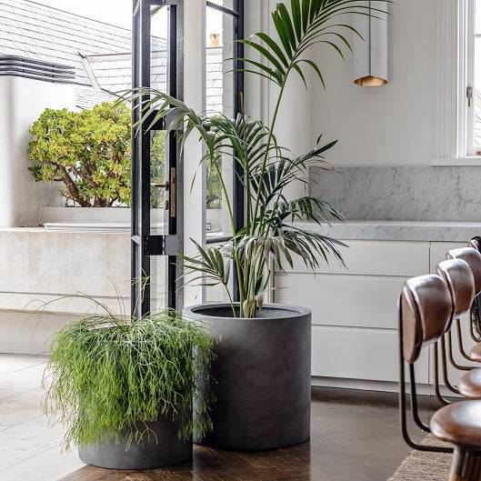 Grey lightweight pots with plants