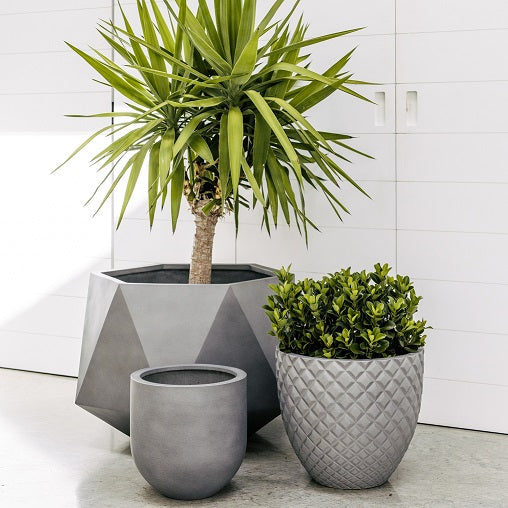 Planter pot