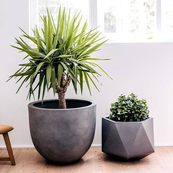 Balcony Garden Pot