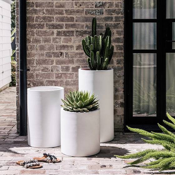 Cylinder style white planters