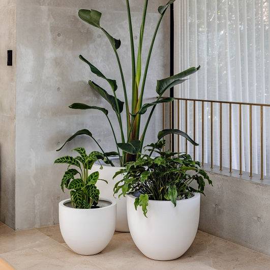 Private label white flower planters