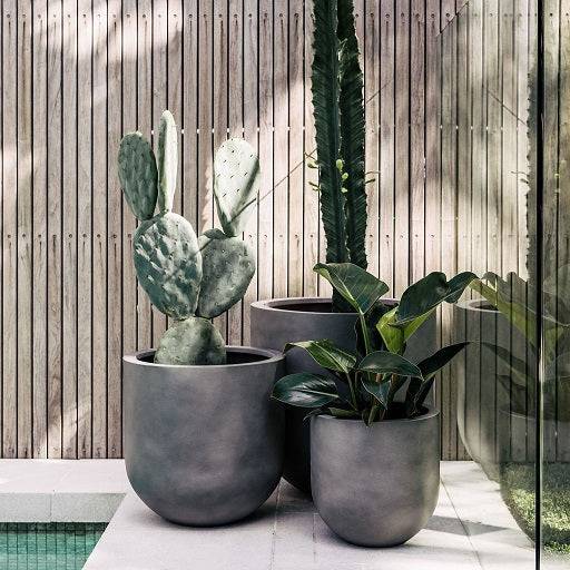 Group of grey garden pots with plants
