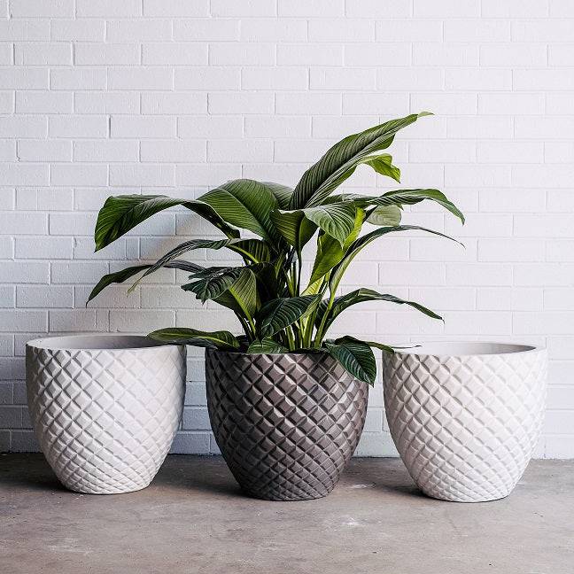 balcony garden flower pot