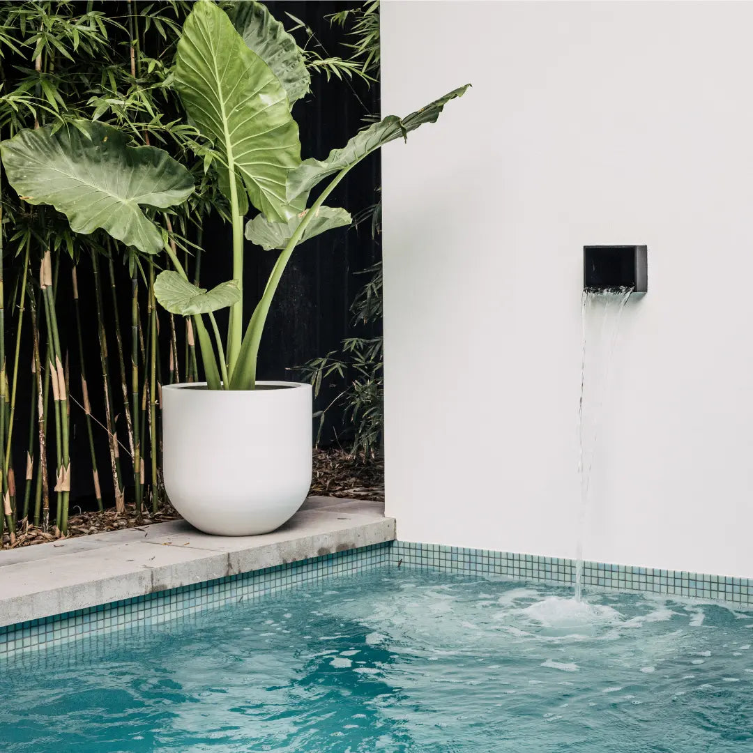 White garden pot beside a swimming pool