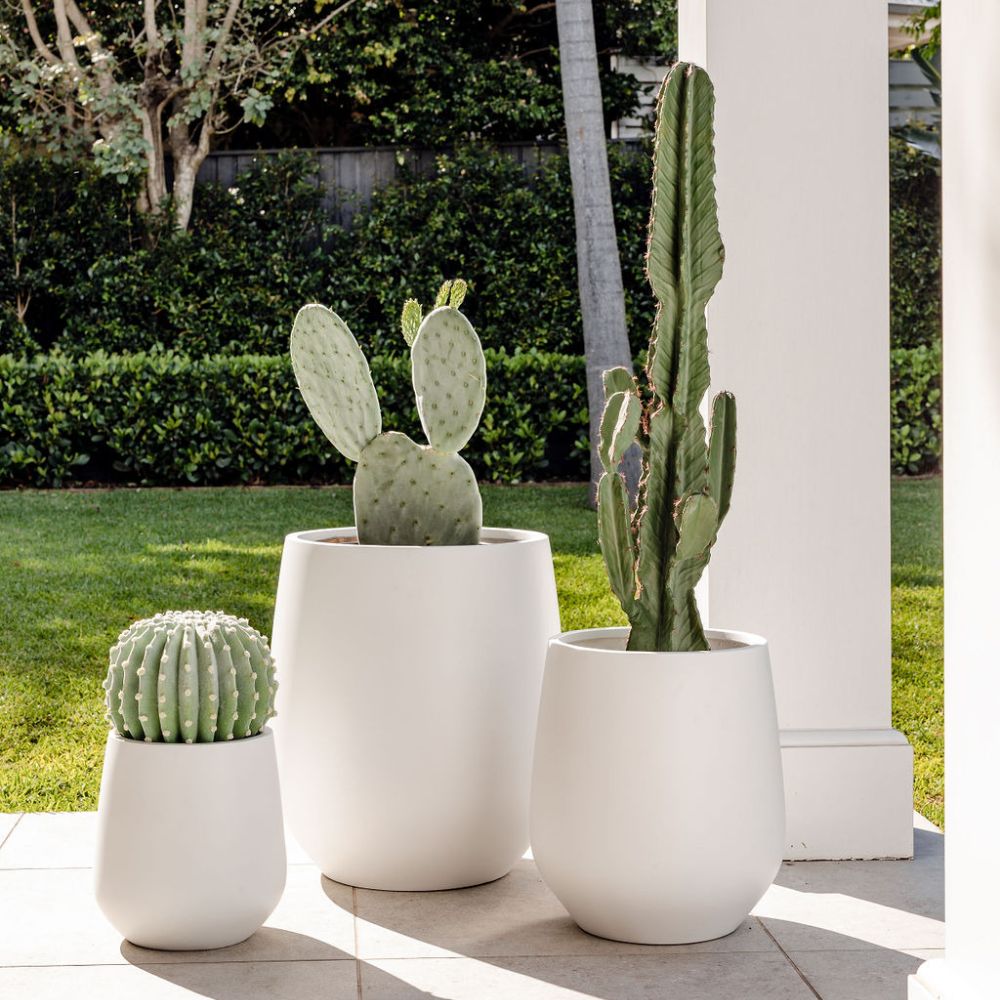 Lightweight Garden Pots for Large Spaces
