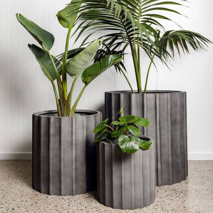 Outdoor planters with plants