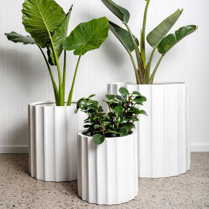 White flower pots with plants