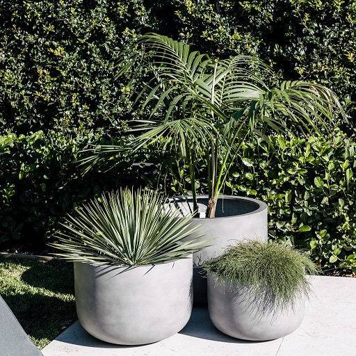 Three grey pots with plants
