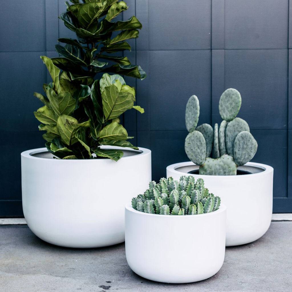Three white garden pots with plants