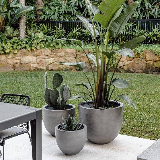 Group of grey garden pots with plants