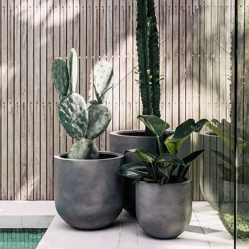 Group of grey garden pots with plants 