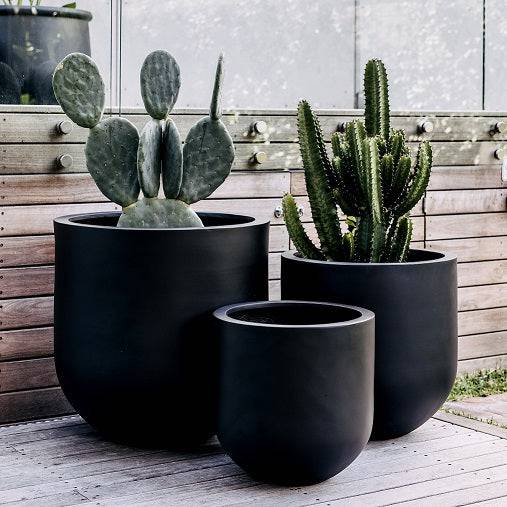 Private label black group pots with cacti