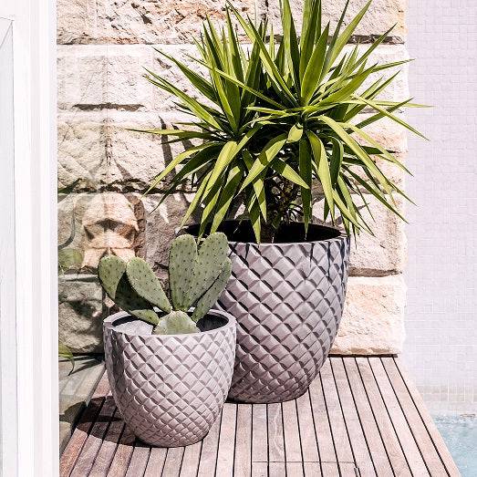 Lightweight outdoor pot with plants