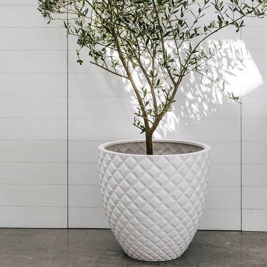 garden pot with plant