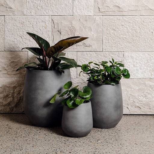 Group of grey lightweight pots with plants